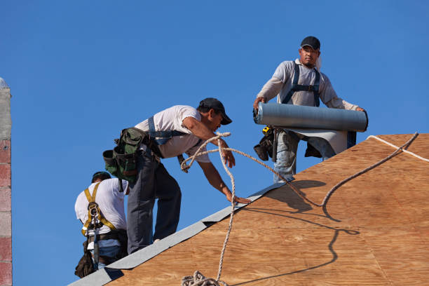 Best Gutter Installation and Roofing  in Central, TN